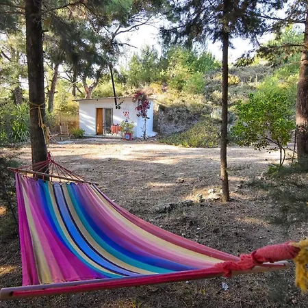Small Forest House Nature Tatil Evi Theológos