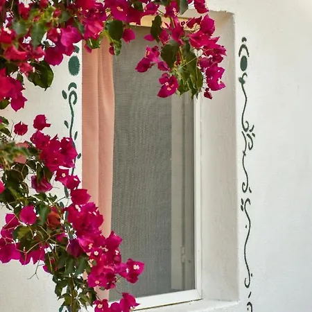 Small Forest House Nature Tatil Evi Theológos