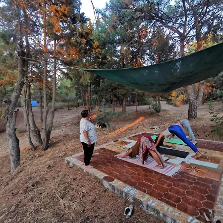 Tatil Evi Small Forest House Nature Theológos