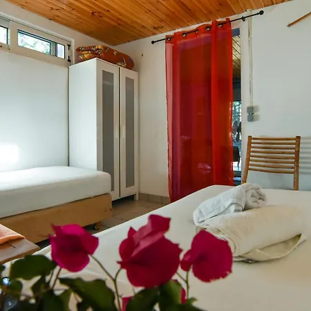 度假居 Small Forest House Nature