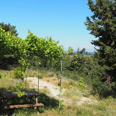 Small Forest House Nature * Theológos