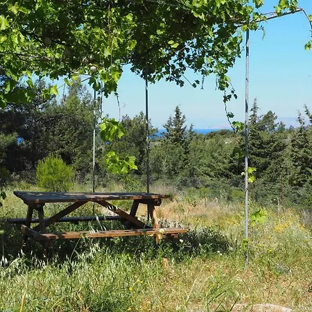 度假居 Small Forest House Nature